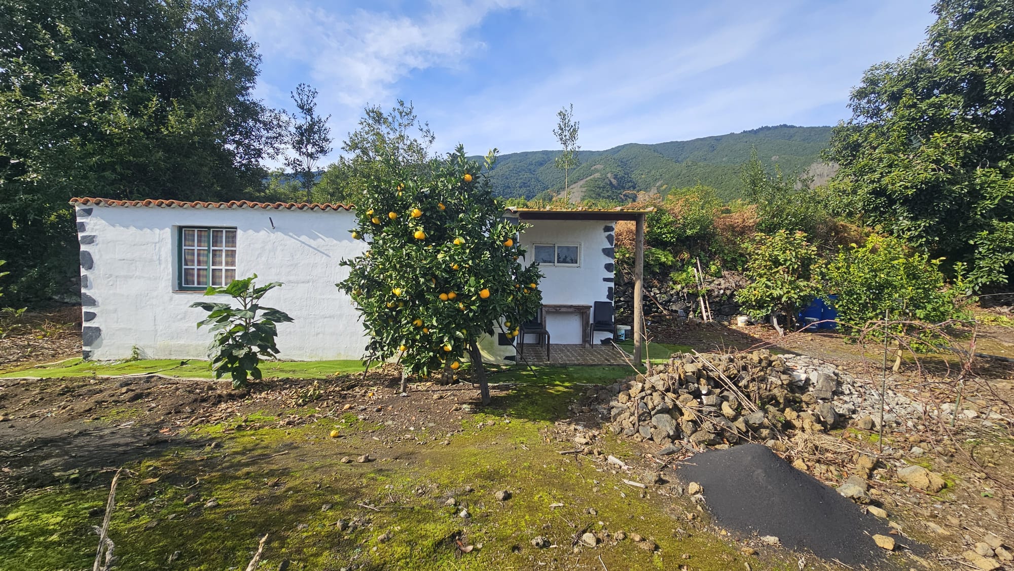 Finca en Breña Alta