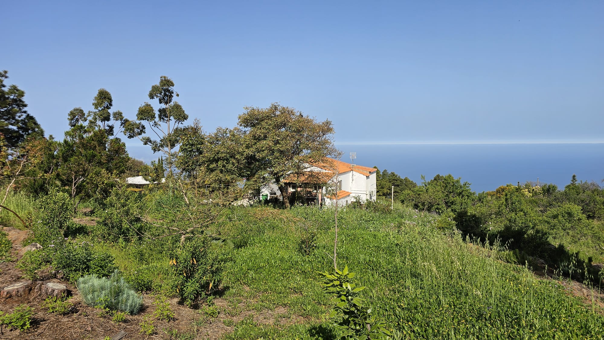 Casa con apartamento y terreno de 6000m² en Puntagorda